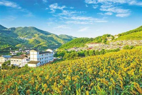 成功案例標題