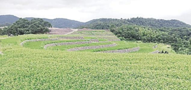 水利部辦公廳關于進一步優化開發區內生產建設項目水土保持管理工作的意見